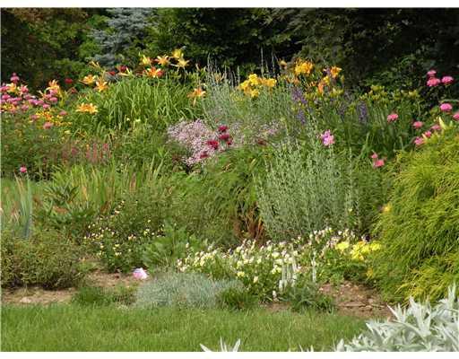 319 Brock School Road Buckfield, ME 04220 - Photo 3 of 19 Yard/Garden.