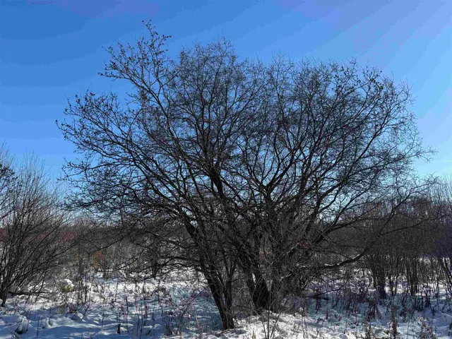 $490,000 | 70 M/l Acres State Road 20, East Troy, WI 53120