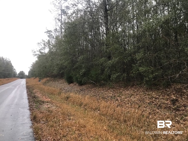 23588 Old Weekley Road Bay Minette, AL 36507 - Photo 8 of 30 Great Wooded 13 Acres