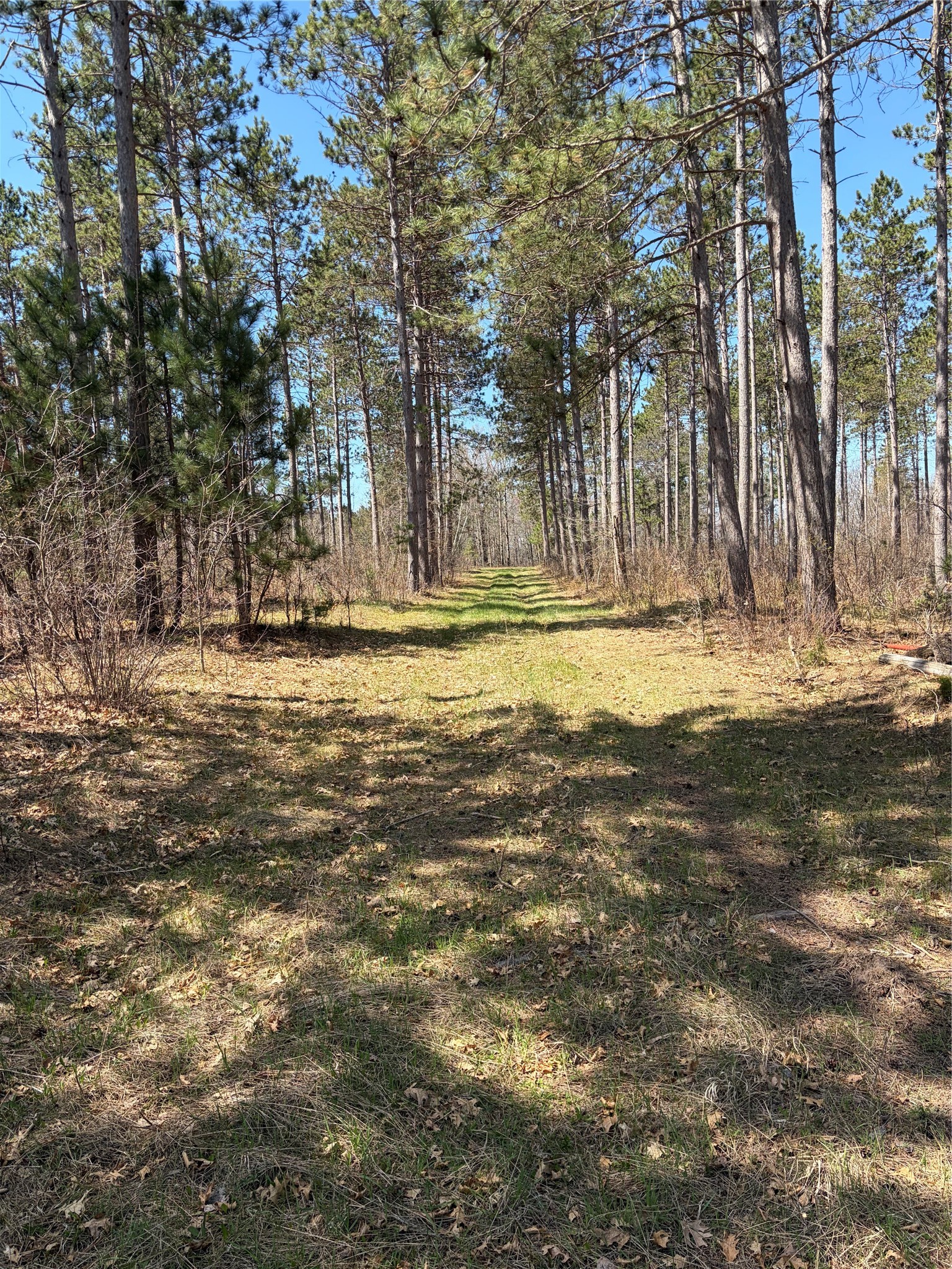 Tbd Aa Mann Road Spooner, WI 54801 - Photo 3 of 7