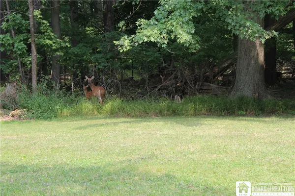 $424,900 | 330 Central Avenue, Pomfret, NY 14063