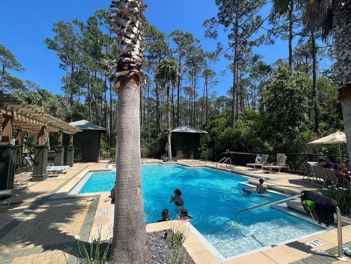 27 Sweet Gum Inlet Beach Inlet Beach, FL 32461 - Photo 50 of 56 Neighborhood pool 2