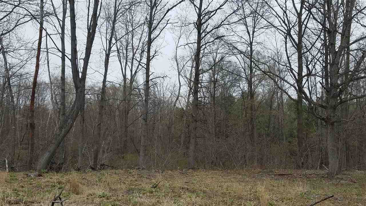 Vl Oakley Road St. Charles, MI 48655 - Photo 1 of 2