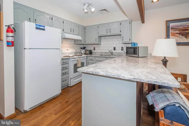 $559,000 | 5 Hartwood Drive, Unit H, McHenry, MD 21541