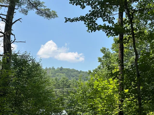 $115,000 | 0 Vt Route 103, Unit LOT 4, Chester, VT 05143