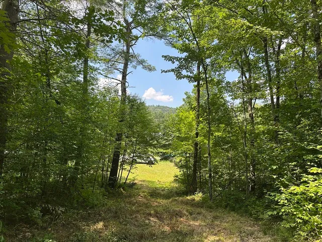 $115,000 | 0 Vt Route 103, Unit LOT 4, Chester, VT 05143