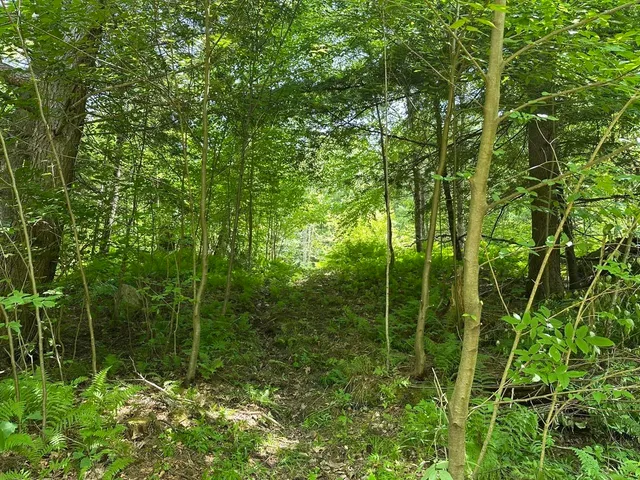 $115,000 | 0 Vt Route 103, Unit LOT 4, Chester, VT 05143