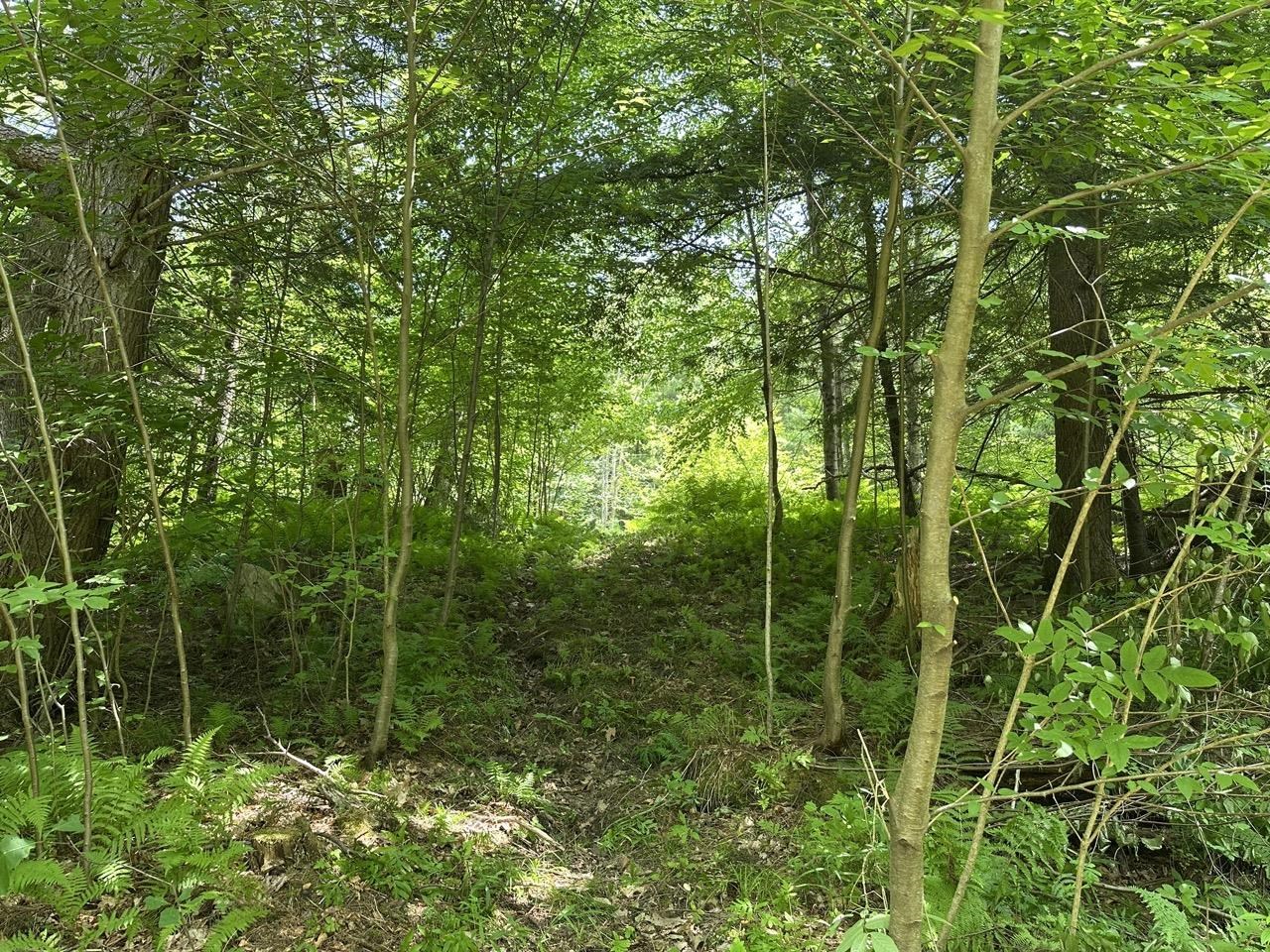 0 Vt Route 103, Unit LOT 4 Chester, VT 05143 - Photo 19 of 60