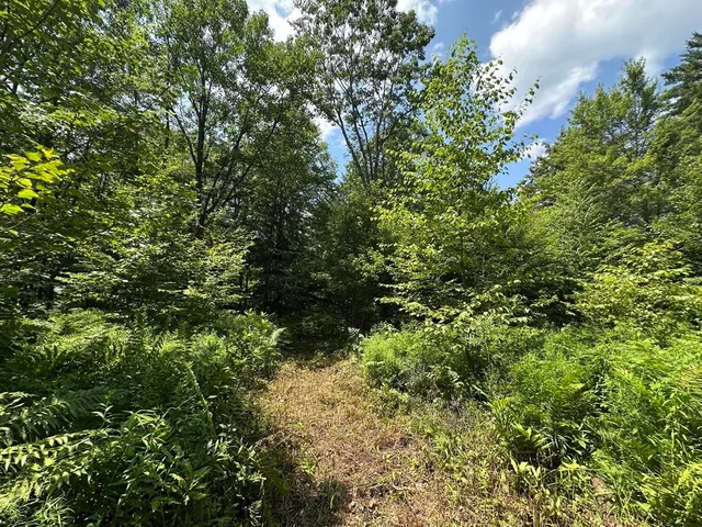 $115,000 | 0 Vt Route 103, Unit LOT 4, Chester, VT 05143