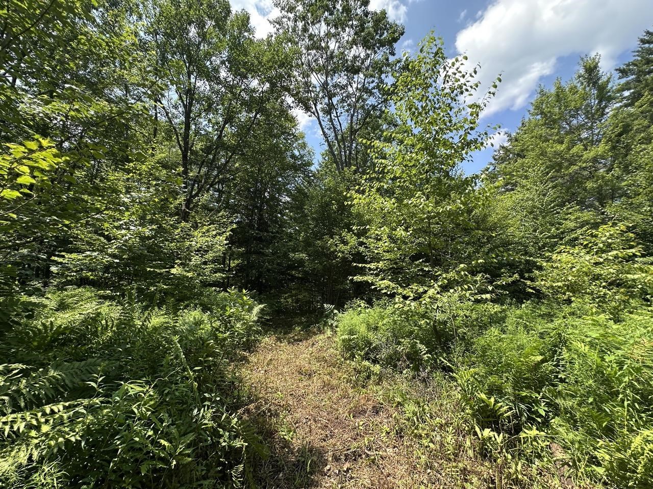 0 Vt Route 103, Unit LOT 4 Chester, VT 05143 - Photo 22 of 60