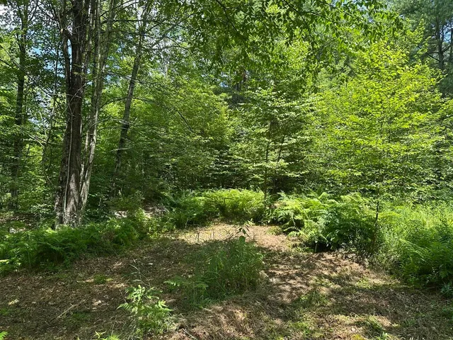 $115,000 | 0 Vt Route 103, Unit LOT 4, Chester, VT 05143