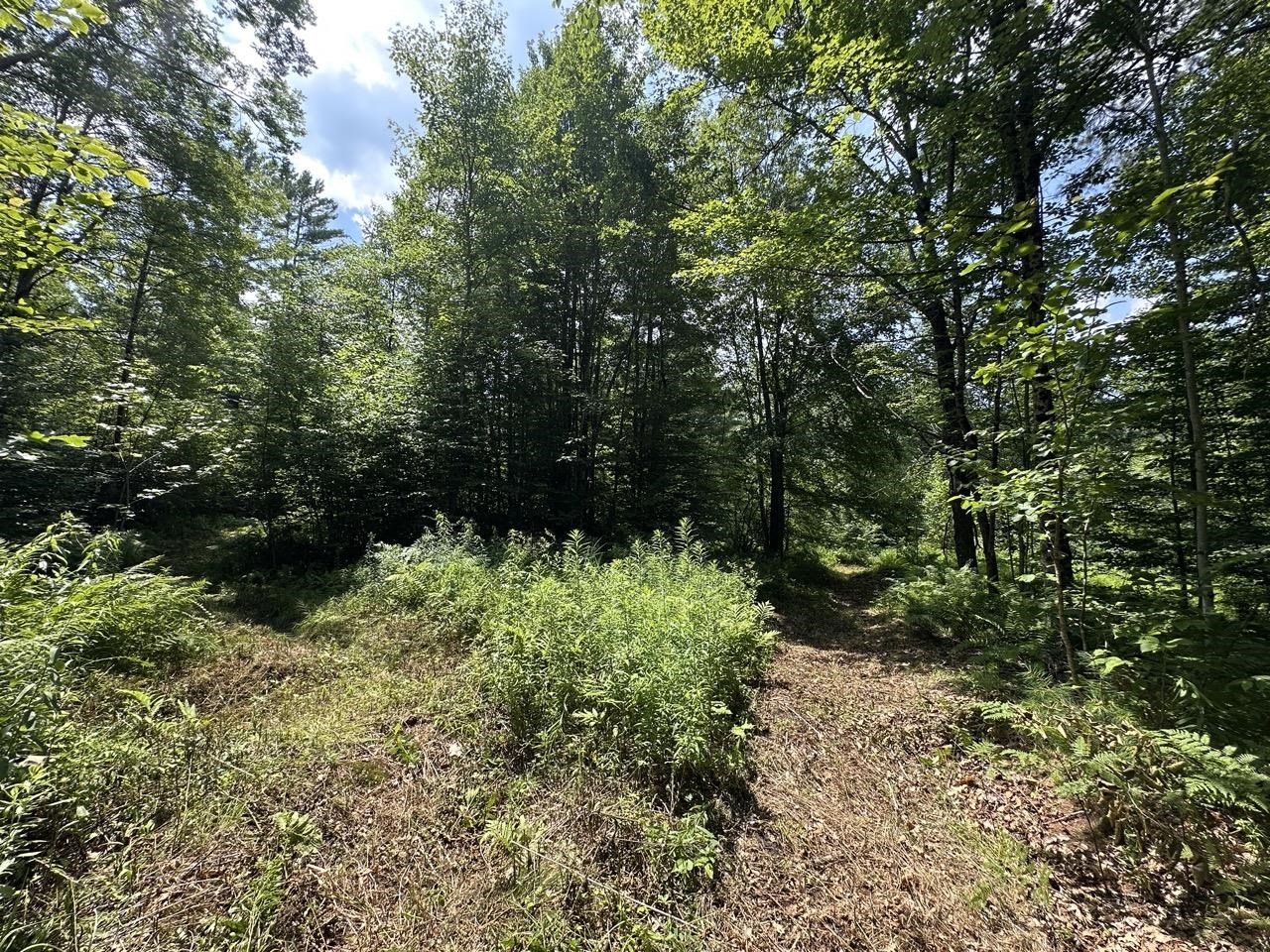 0 Vt Route 103, Unit LOT 4 Chester, VT 05143 - Photo 24 of 60