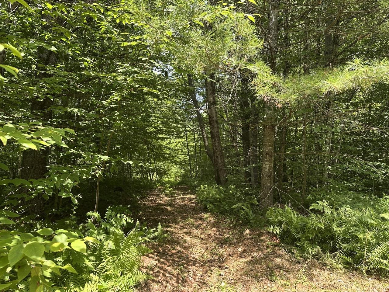 0 Vt Route 103, Unit LOT 4 Chester, VT 05143 - Photo 27 of 60