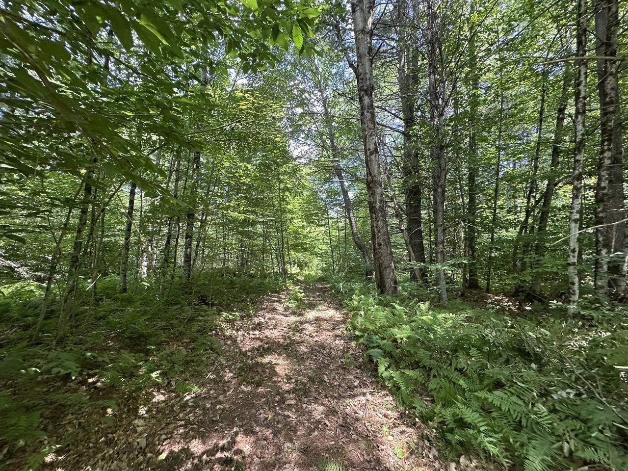 0 Vt Route 103, Unit LOT 4 Chester, VT 05143 - Photo 30 of 60