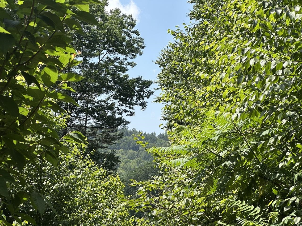 0 Vt Route 103, Unit LOT 4 Chester, VT 05143 - Photo 33 of 60