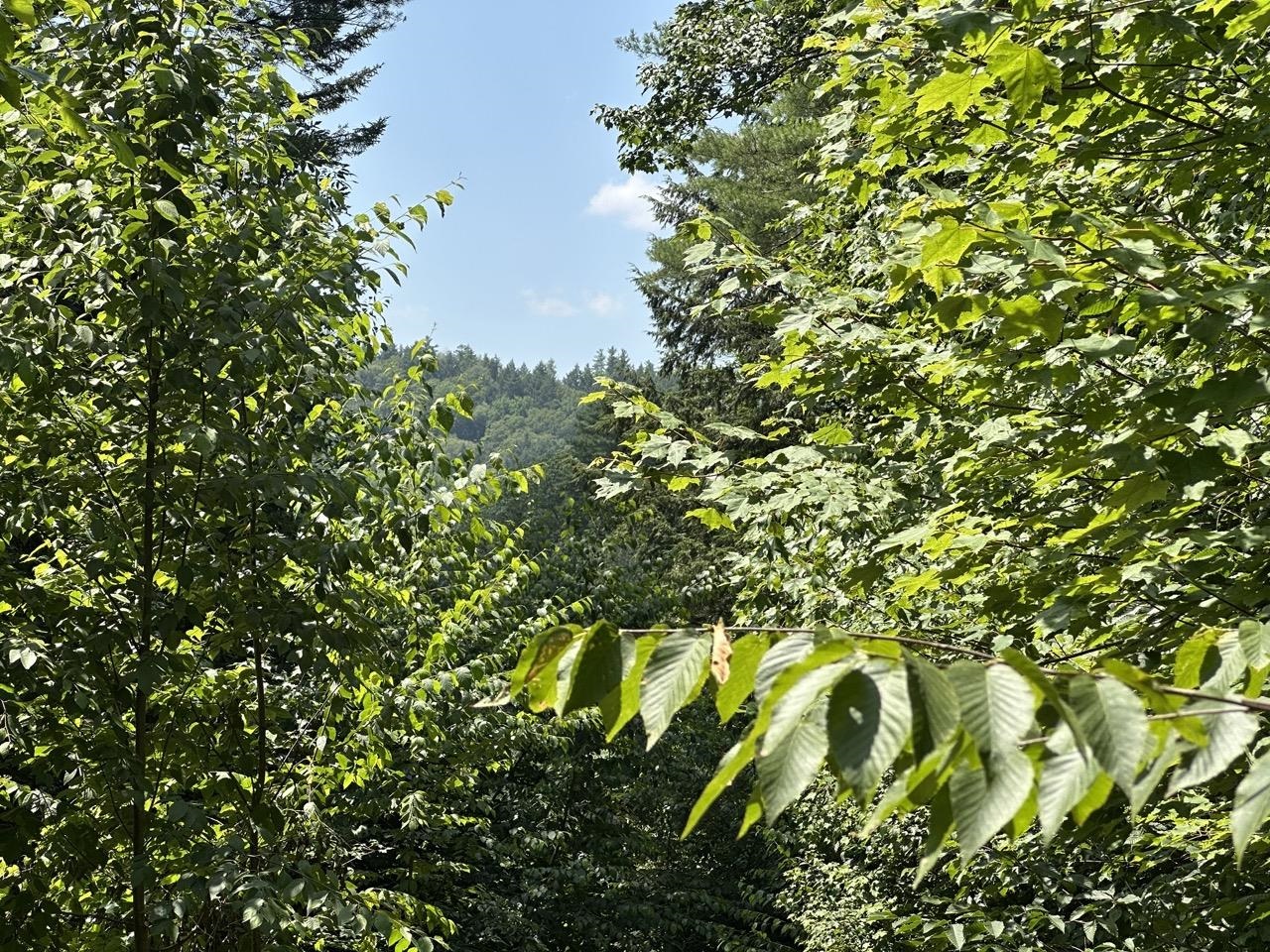 0 Vt Route 103, Unit LOT 4 Chester, VT 05143 - Photo 35 of 60