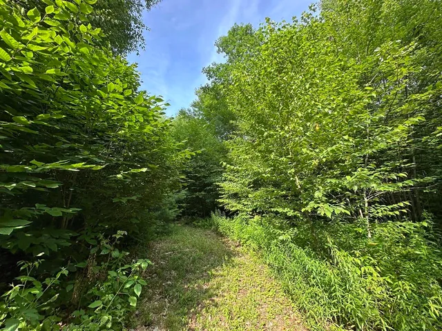 $115,000 | 0 Vt Route 103, Unit LOT 4, Chester, VT 05143