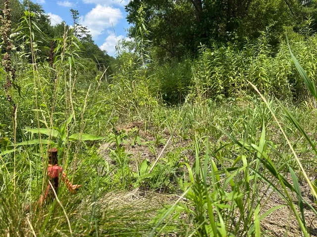 $115,000 | 0 Vt Route 103, Unit LOT 4, Chester, VT 05143