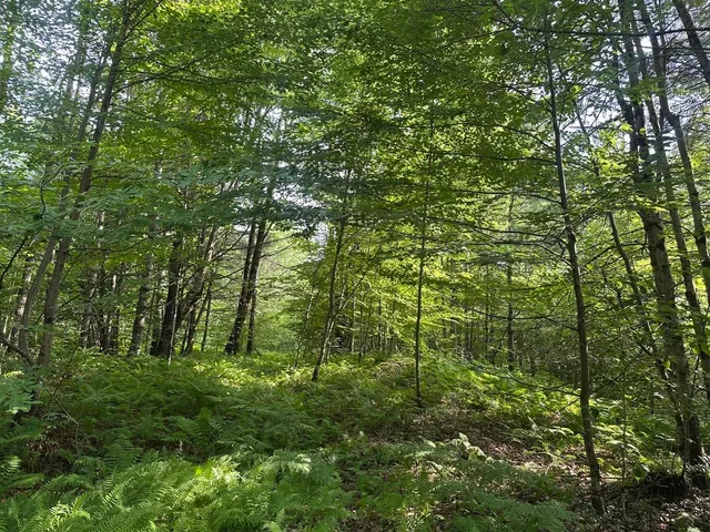 $115,000 | 0 Vt Route 103, Unit LOT 4, Chester, VT 05143