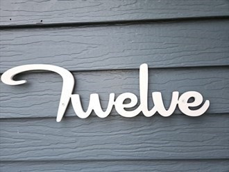 12 Stebbins Street Chicopee, MA 01020 - Photo 6 of 39 a close up of a potted plant