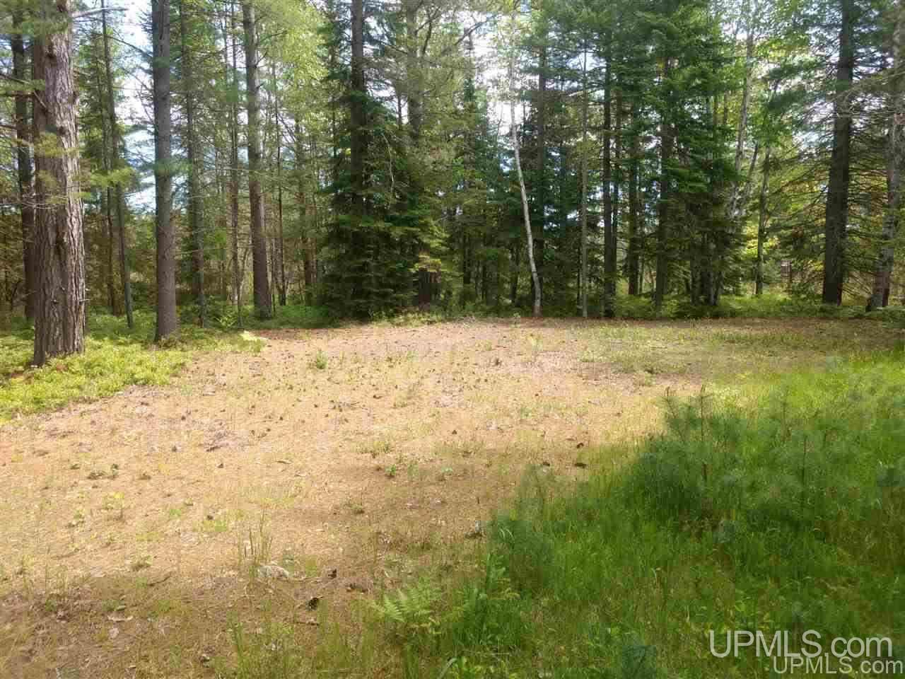 Tbd Rice Landing Road, Unit 13 Lake Linden, MI 49945 - Photo 9 of 35