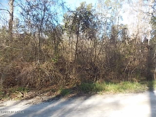 Tbd Blue Top Road Jacksonville, NC 28540 - Photo 3 of 3 BlueTop 937