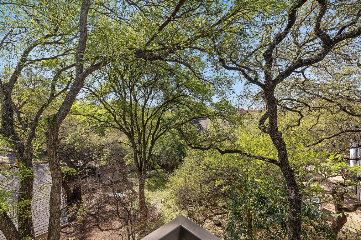 907 Duncan Lane, Unit 302 Austin, TX 78705 - Photo 21 of 24 a backyard of a house with lots of trees