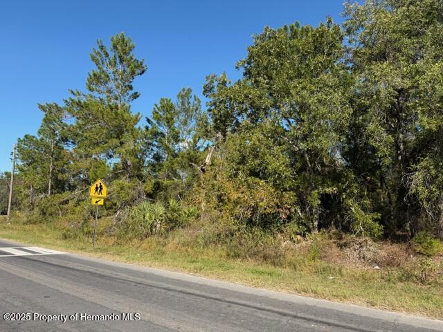 0 Lamson Avenue Spring Hill, FL 34608 - Photo 6 of 6