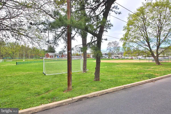 a view of a park with tree s