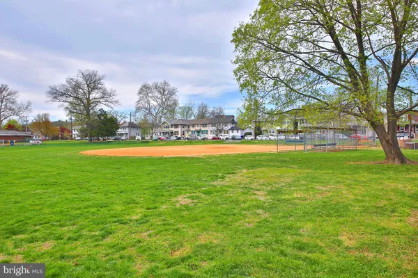 a view of a park with large trees