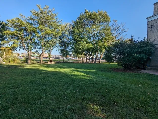 a garden view with trees