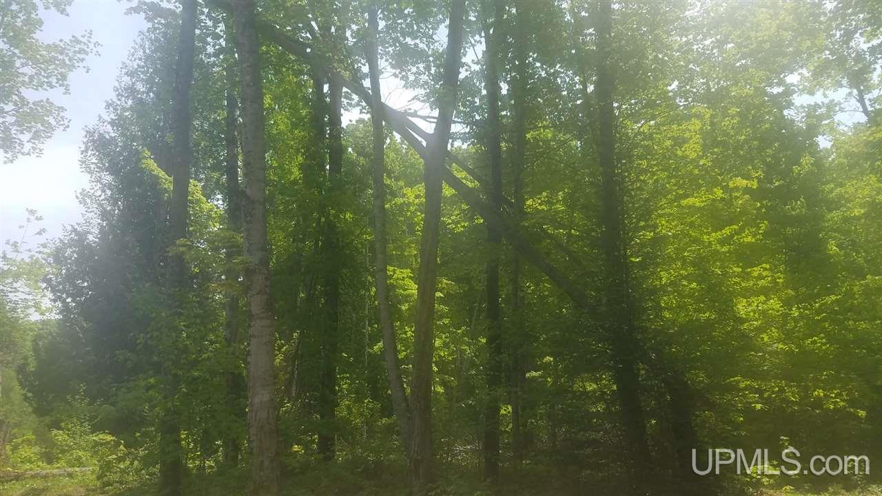 N2296 Co Road Marquette, MI 49855 - Photo 8 of 29
