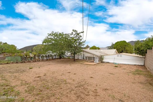 a view of a house with backyard and a tree