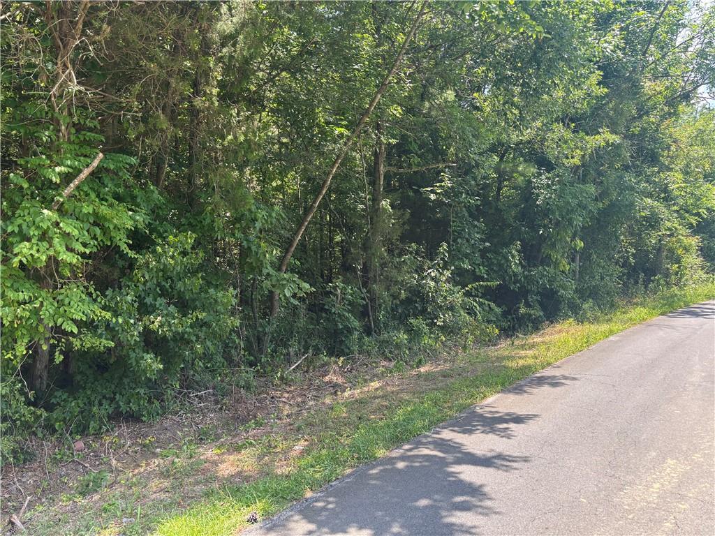 0 Oakman Road Northeast Ranger, GA 30734 - Photo 1 of 1