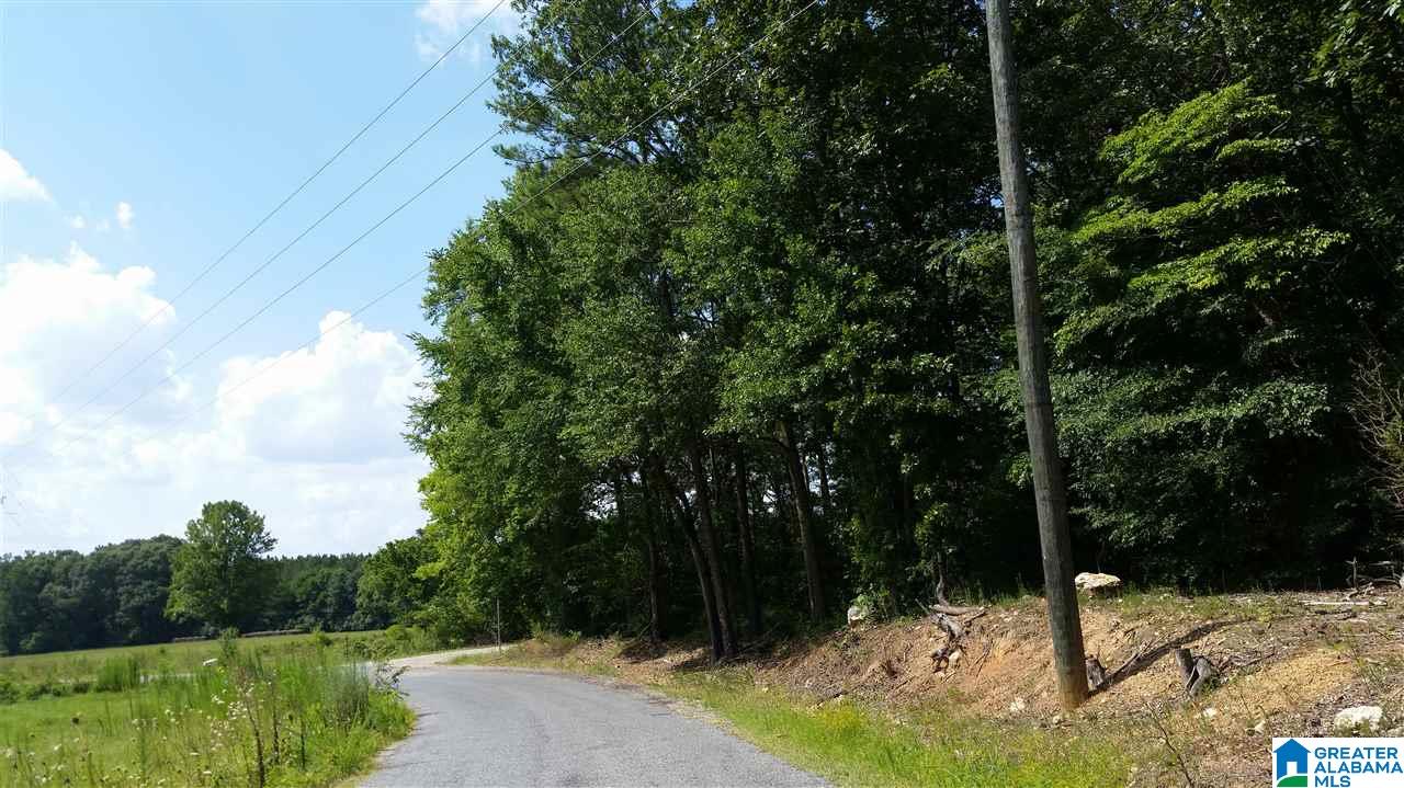 1885 Brooks Lake Road Lincoln, AL 35096 - Photo 25 of 30