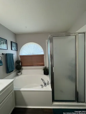 a bathroom with a bathtub and a shower