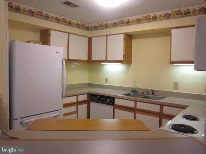 325 Pleasanton Road, Unit B13 Westminster, MD 21157 - Photo 1 of 17 Kitchen #2