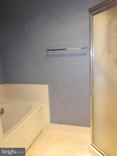 325 Pleasanton Road, Unit B13 Westminster, MD 21157 - Photo 8 of 17 Master Bath #2