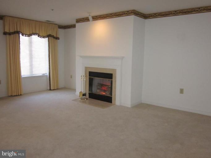 325 Pleasanton Road, Unit B13 Westminster, MD 21157 - Photo 9 of 17 Wood burning Fireplace