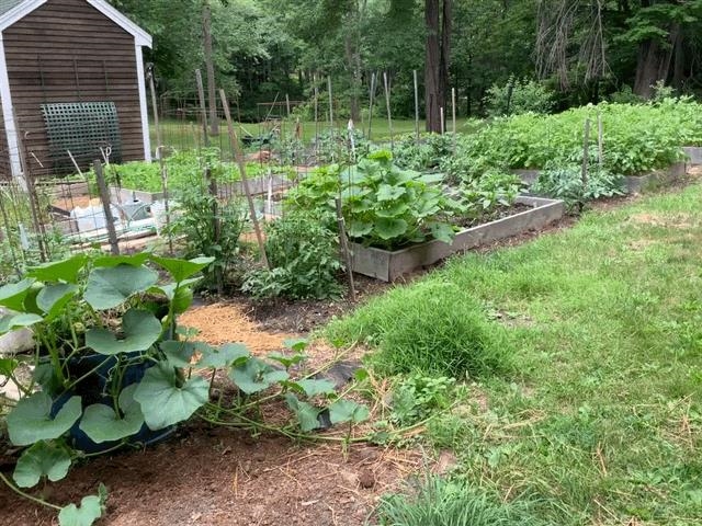 95 Kingston Road Exeter, NH 03833 - Photo 48 of 60
