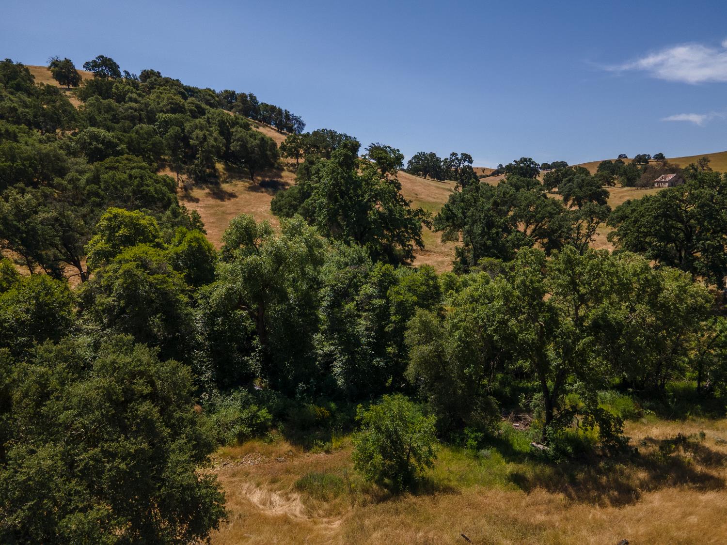 0 Stony Creek Road Ione, CA 95640 - Photo 52 of 70