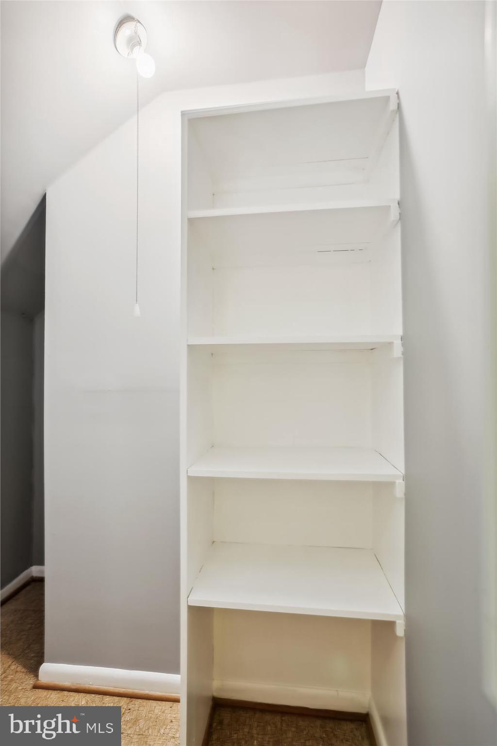 6504 Ridgeway Drive Springfield, VA 22150 - Photo 15 of 50 Lower Level, Hall Closet