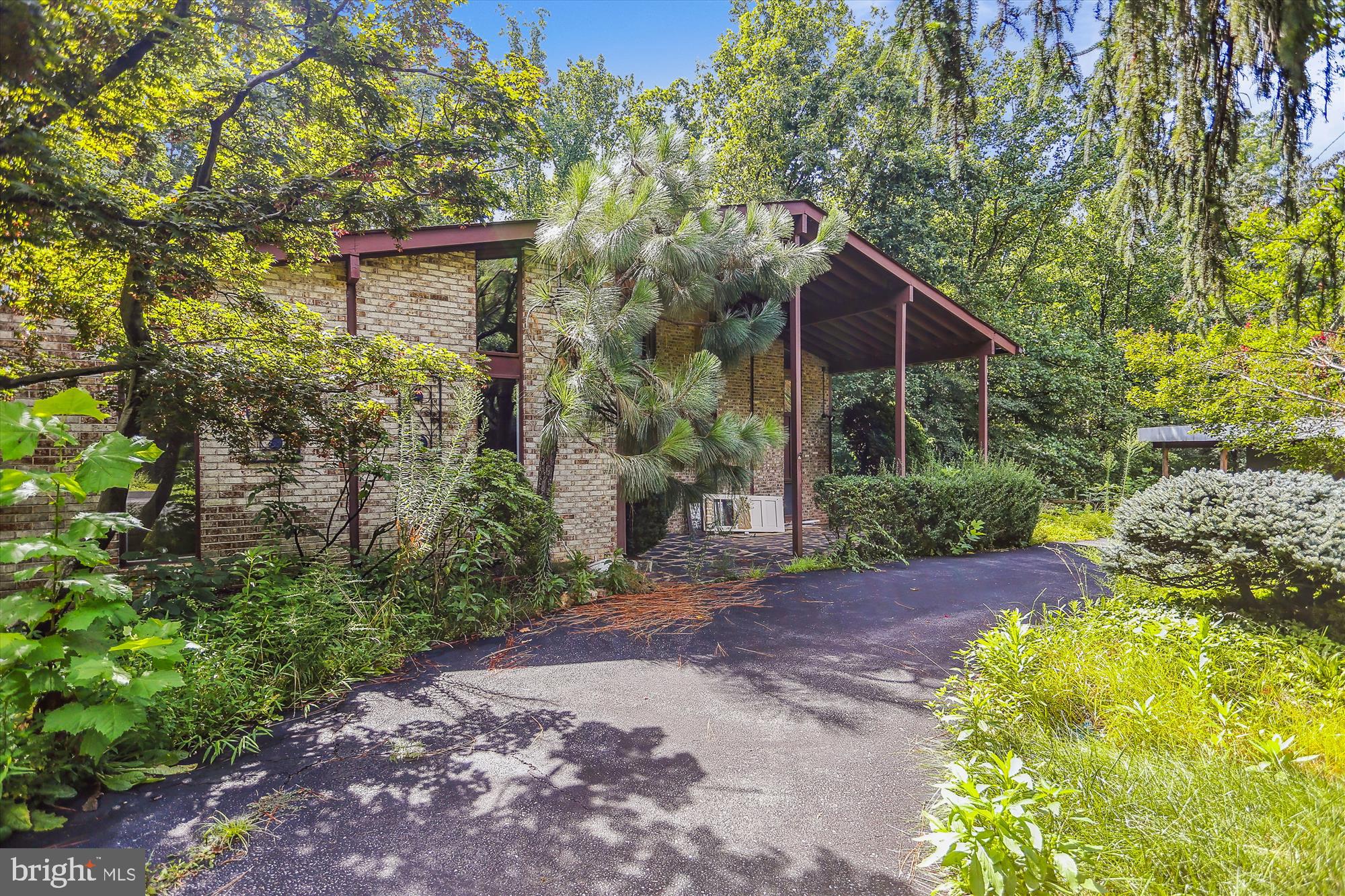 6504 Ridgeway Drive Springfield, VA 22150 - Photo 2 of 50 Front Exterior