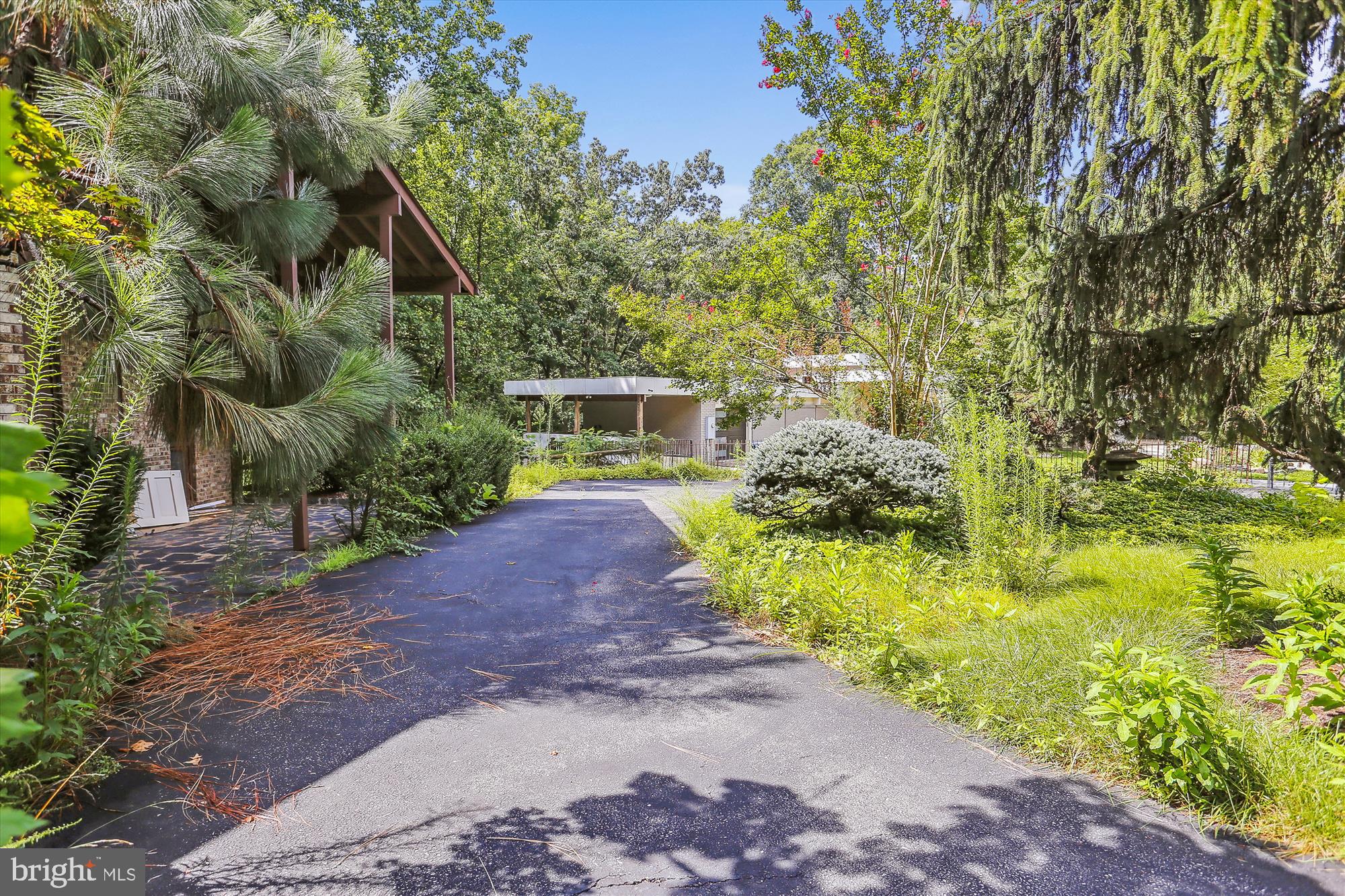 6504 Ridgeway Drive Springfield, VA 22150 - Photo 4 of 50 Front Exterior
