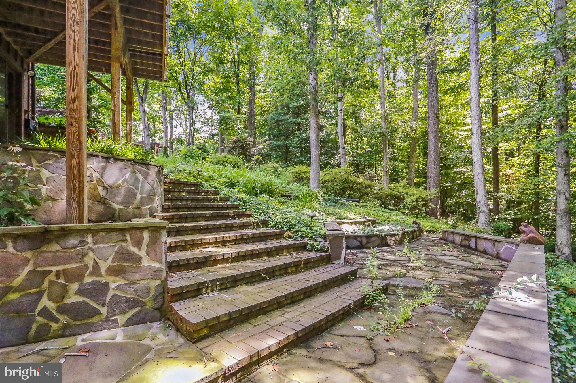 6504 Ridgeway Drive Springfield, VA 22150 - Photo 47 of 50 Backyard