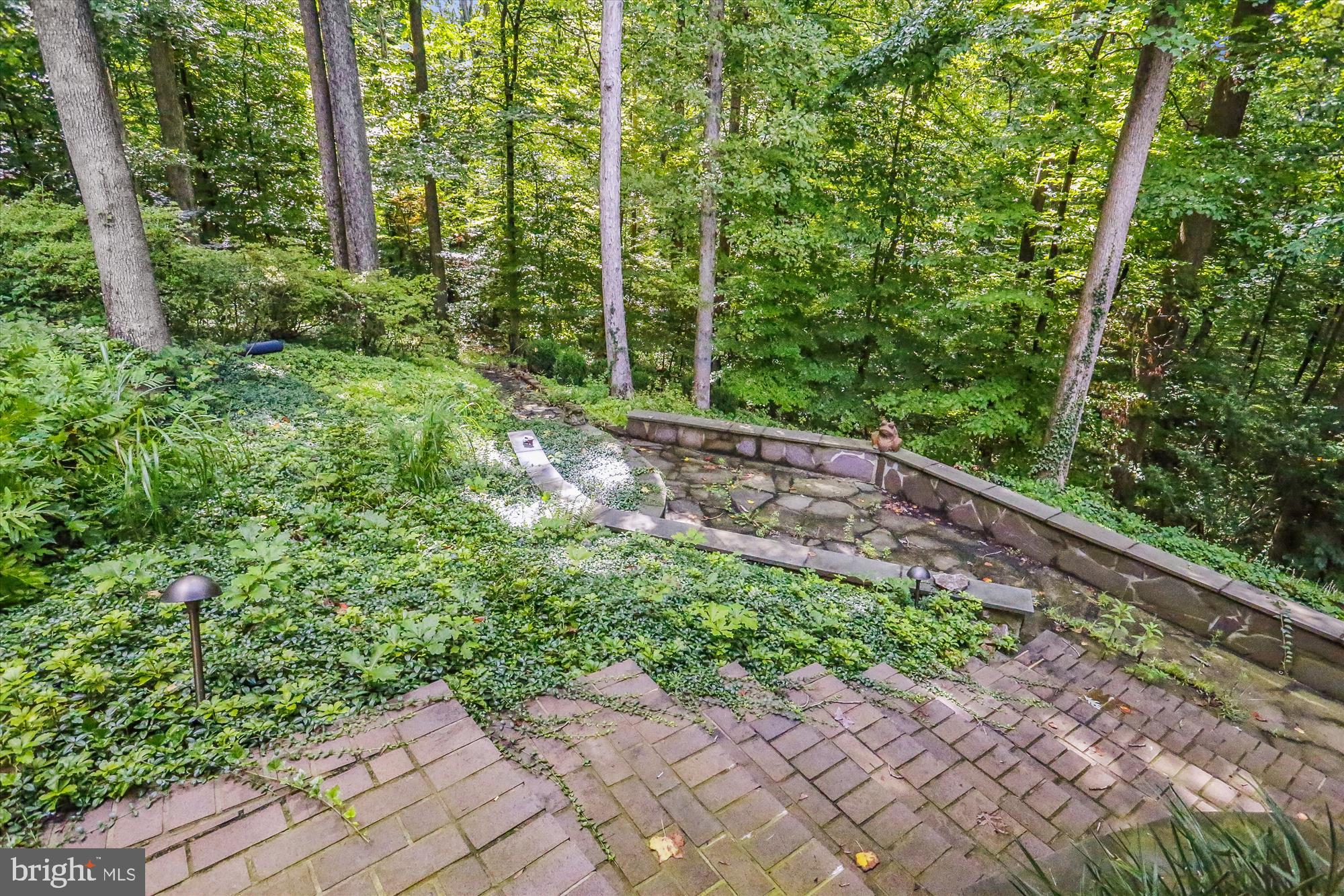 6504 Ridgeway Drive Springfield, VA 22150 - Photo 48 of 50 Backyard