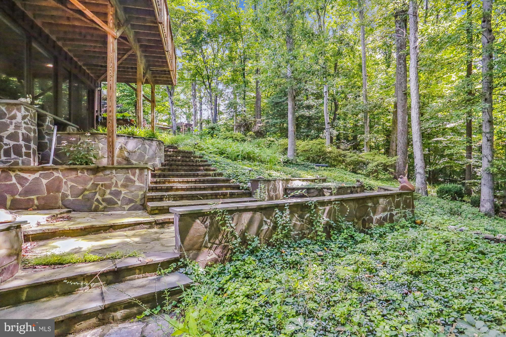 6504 Ridgeway Drive Springfield, VA 22150 - Photo 49 of 50 Backyard