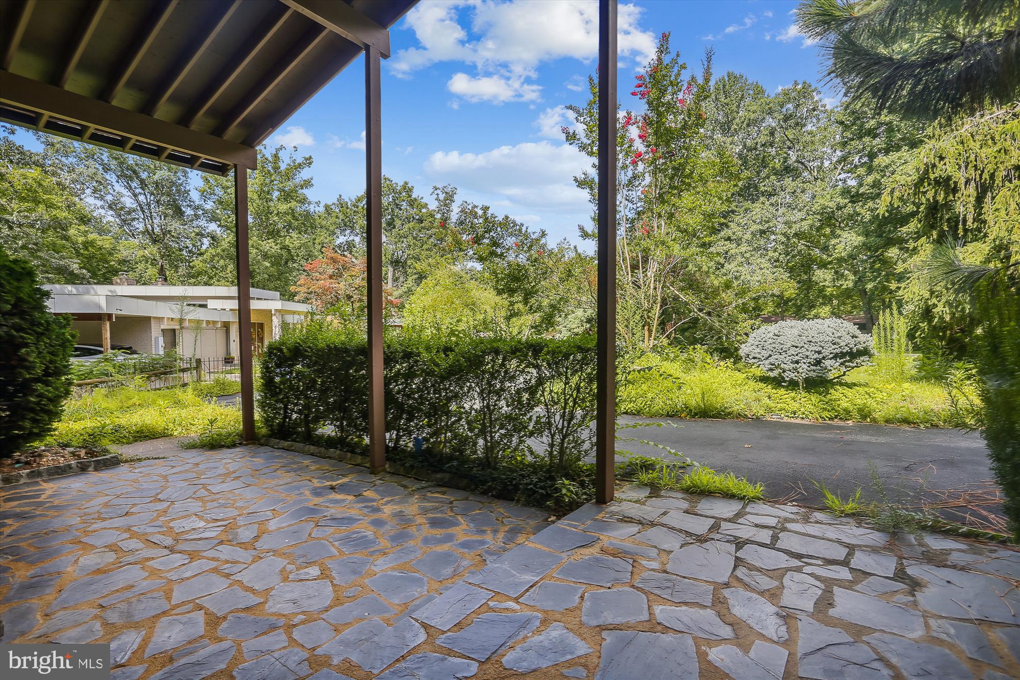 6504 Ridgeway Drive Springfield, VA 22150 - Photo 6 of 50 View from front door