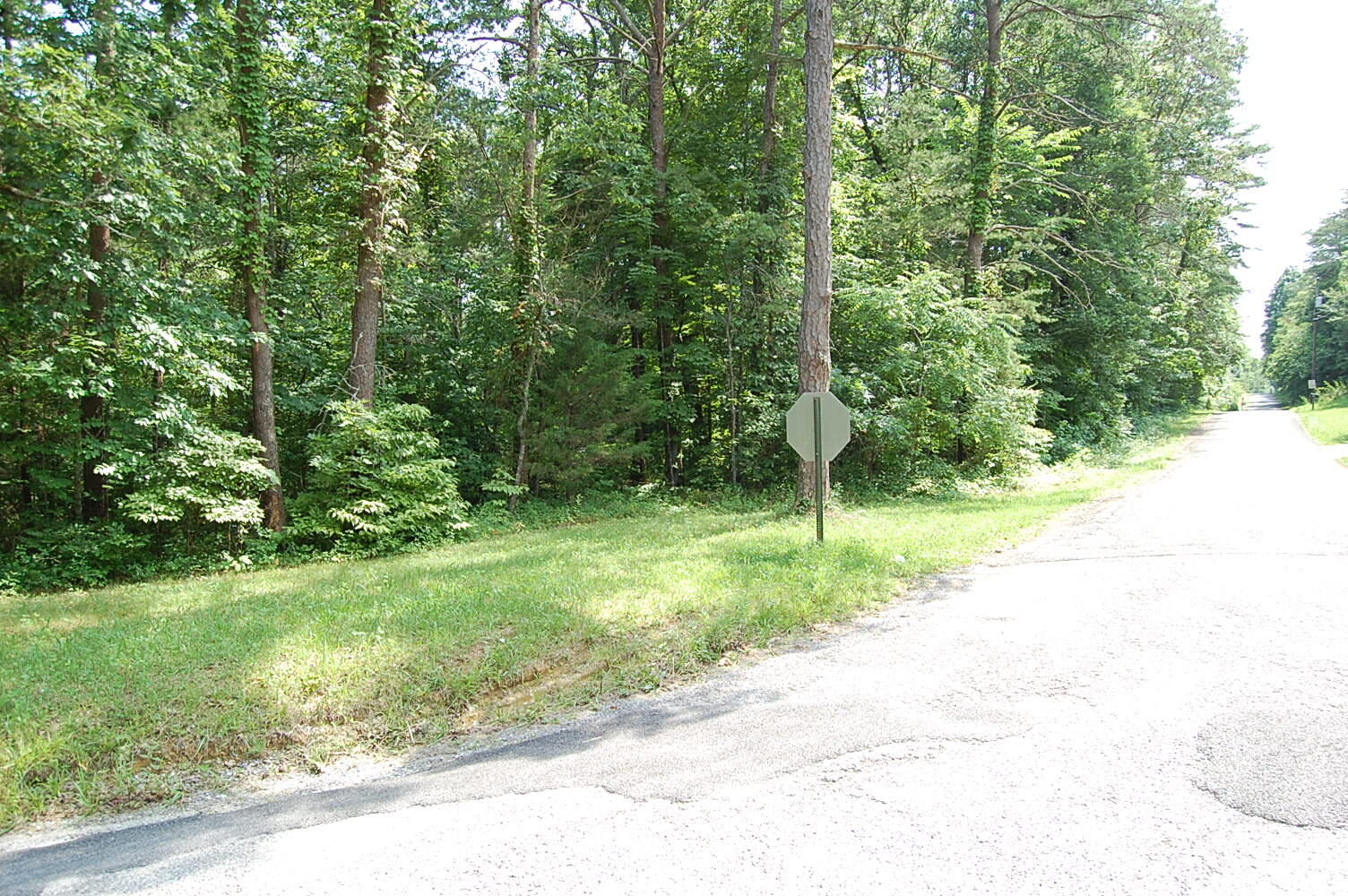 57 Hugh Allison Road Pikeville, TN 37367 - Photo 5 of 28 DSC_0005 - Copy (2)