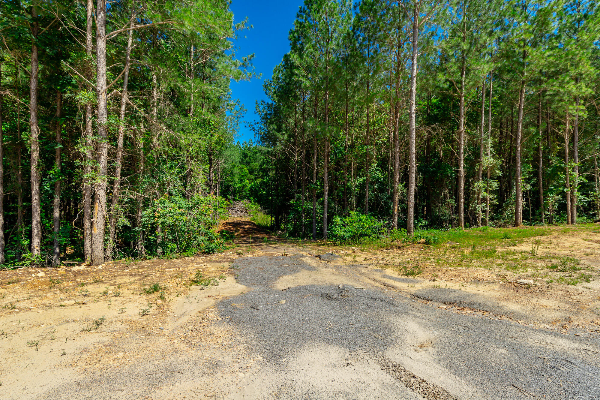 0 Split Rail Way, Unit LOT 1163 Guild, TN 37340 - Photo 20 of 118 River Gorge Lot 1163 HD-3